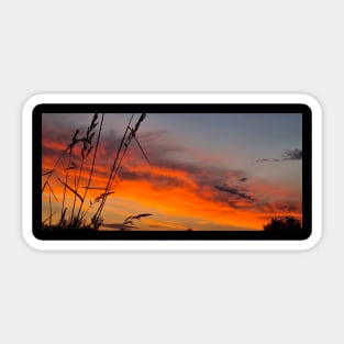 Sunset in beautiful colors Sticker